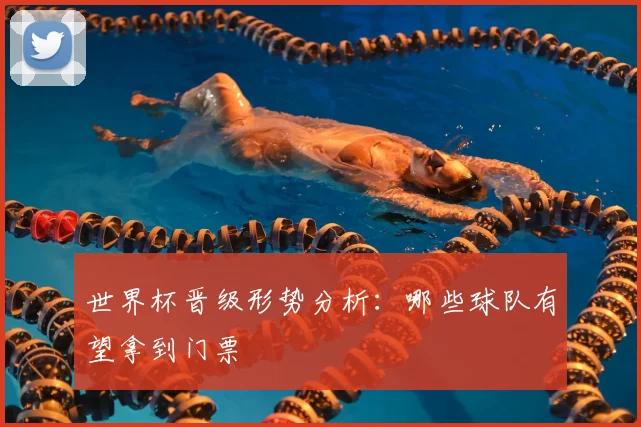 世界杯晋级形势分析：哪些球队有望拿到门票