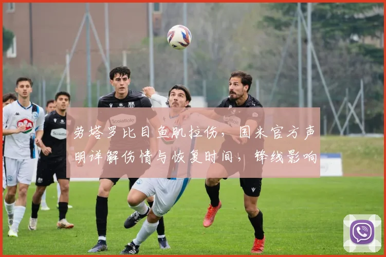 劳塔罗比目鱼肌拉伤，国米官方声明详解伤情与恢复时间，锋线影响几何？